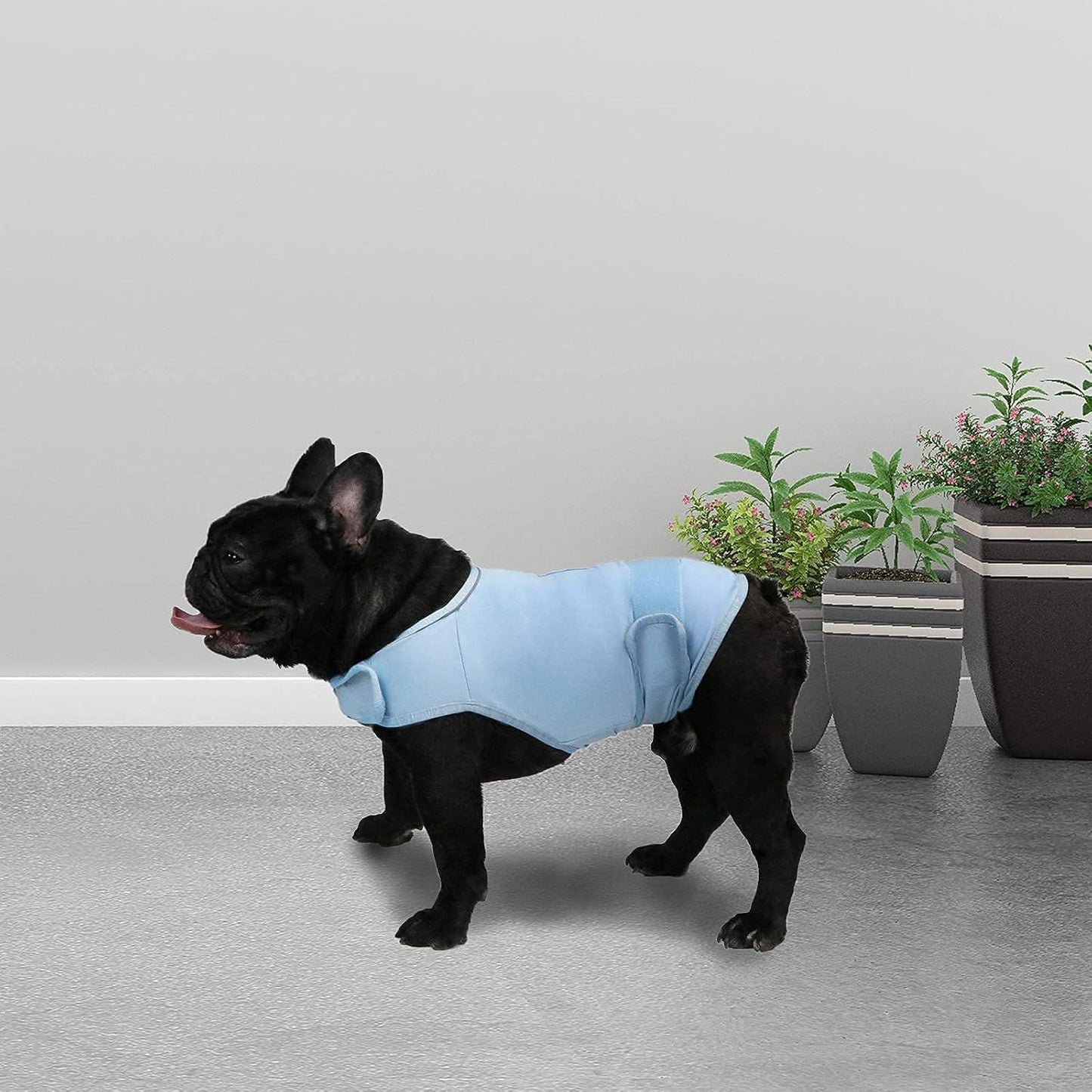 CalmPaws™ Breathable Thunderstorm Dog Shirt – Anxiety-Relief Vest Wrap, Calming Coat for Puppies and Adult Dogs (M, Blue)